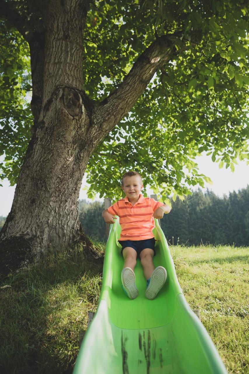 Apartmán Drittlhof Hopfgarten im Brixental Exteriér fotografie